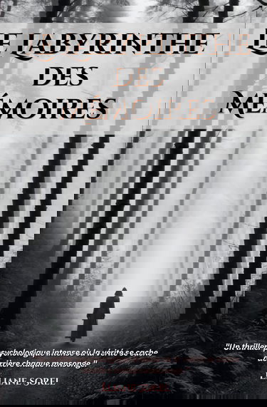 Le Labyrinthe des Mémoires Tome 2 “La mémoire est un labyrinthe où chaque chemin mène à une vérité, ou à une illusion.”: Un thriller psychologique ... la vérité se cache derrière chaque mensonge.