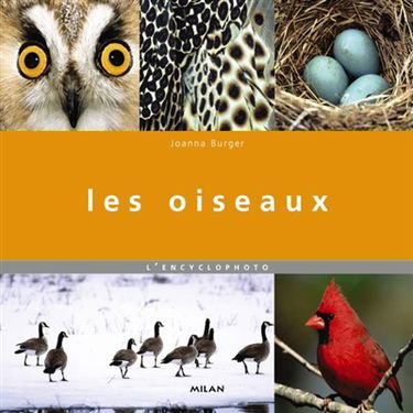 Les oiseaux