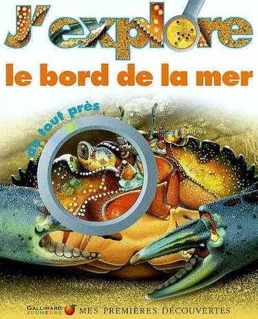 J'explore le bord de la mer de tout près