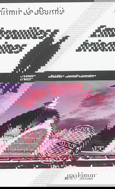 Le Duigou et Bozzi. Vol. 12. Embrouilles briochines