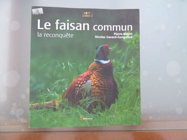Le faisan commun : la reconquête