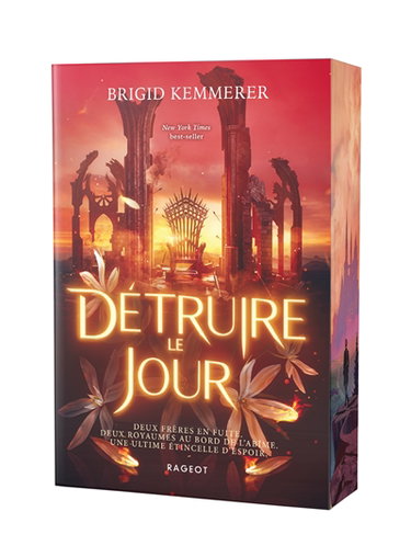 Couverture de Détruire le jour