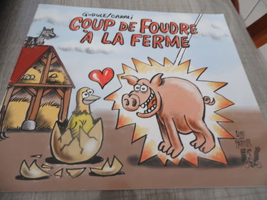 Couverture de Coup de foudre à la ferme