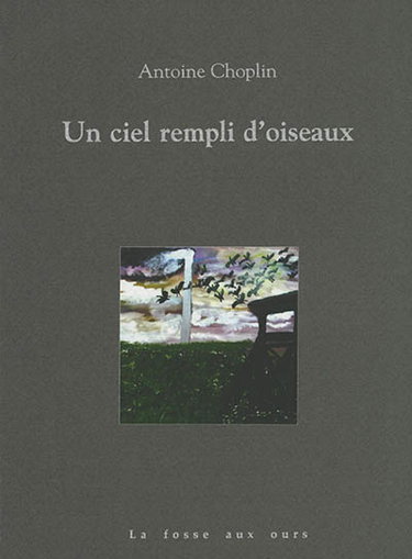 Couverture de Un ciel rempli d'oiseaux