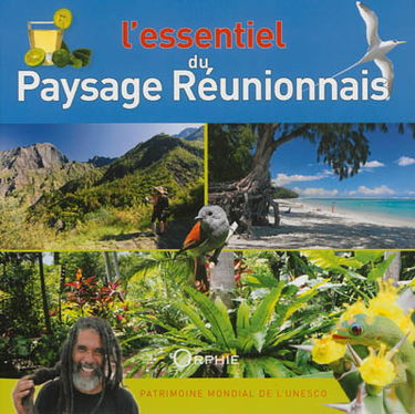 L'essentiel du paysage réunionnais