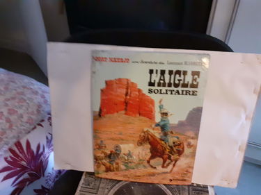 Blueberry, tome 3 : L'Aigle solitaire