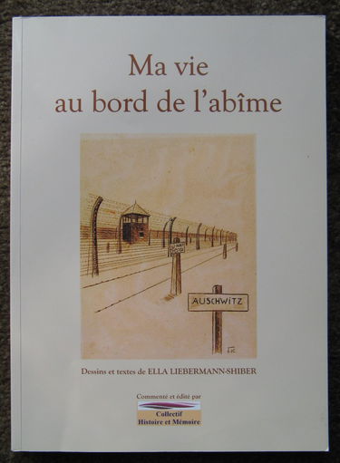 Ma Vie Au Bord De L'Abîme