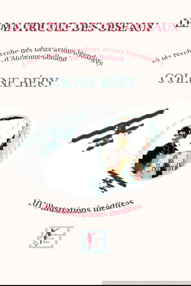 LE MATRICULE DES OISEAUX: Adrienne Bolland, à la recherche de ses avions légendaires