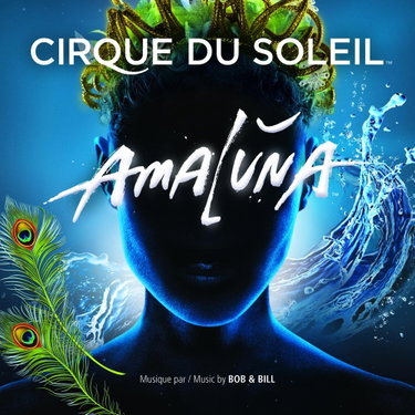 Couverture de Amaluna-Original Soundtrack