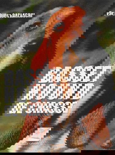 Le basset Hound de chasse