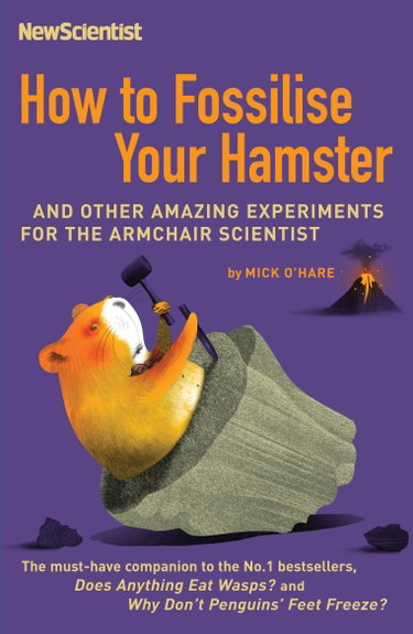 Couverture de How to Fossilise Your Hamster: And other amazing experiments for the armchair scientist
