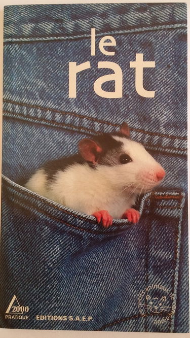 Le rat