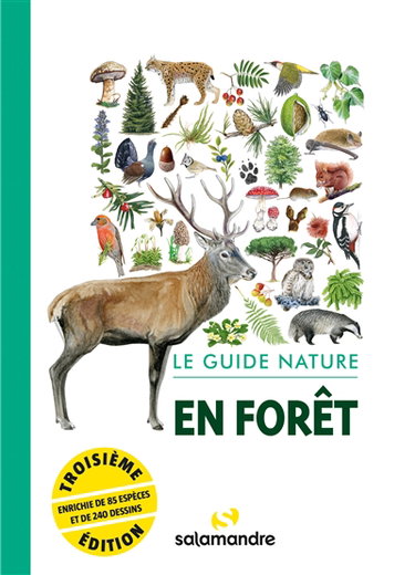 Couverture de En forêt : le guide nature