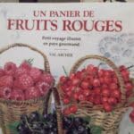 Un Panier de fruits rouges : petit voyage illustré en pays gourmand