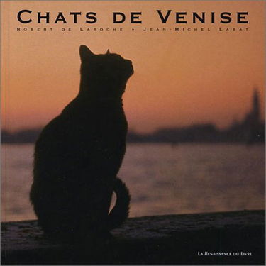 Chats de Venise