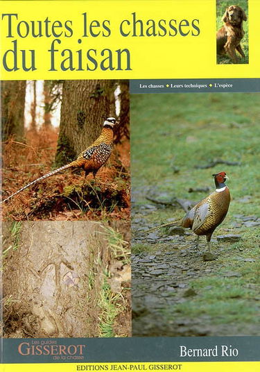 Toutes les chasses du faisan