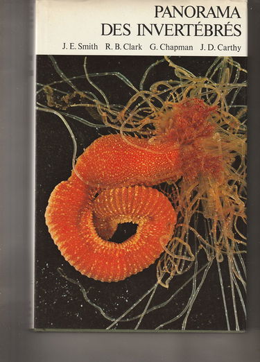 Panorama des invertébrés