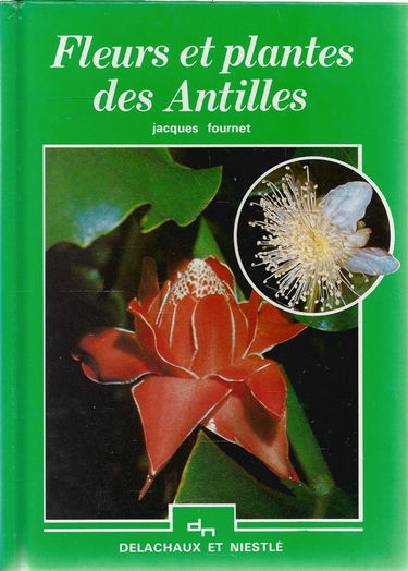 Fleurs et plantes des antilles 022197
