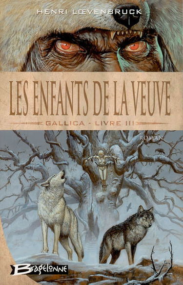 Gallica. Vol. 3. Les enfants de la veuve