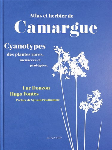 Atlas et herbier de Camargue : cyanotypes des plantes rares, menacées et protégées : exposition, Mas du Pont de Rousty, musée de la Camargue, du 7 juillet au 5 octobre 2025