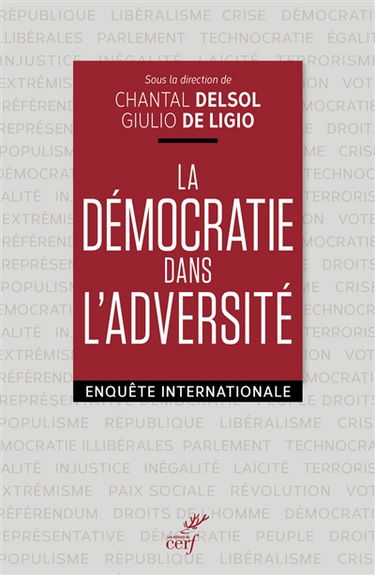 La démocratie dans l'adversité : enquête internationale