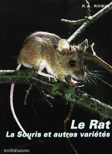 Le rat, la souris et autres variétés