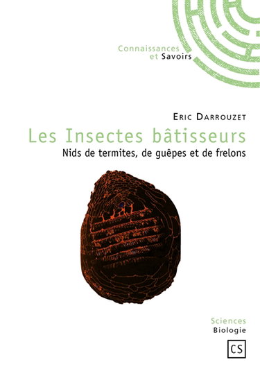 Les insectes bâtisseurs : nids de termites, de guêpes et de frelons