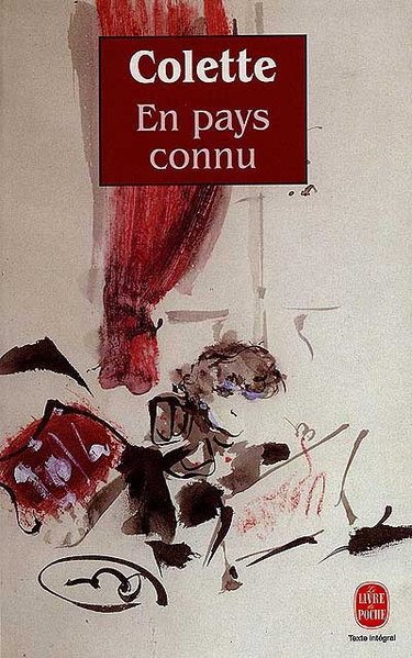 En pays connu. Trait pour trait. Journal intermittent