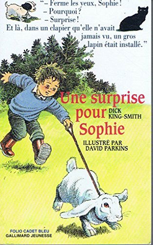 Une surprise pour Sophie