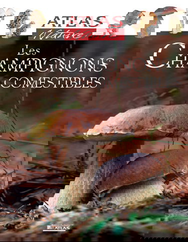 Les champignons comestibles