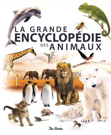 La grande encyclopédie des animaux : caractéristiques, comportements, vie sociale, détails insolites