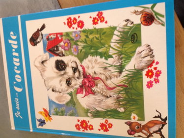 Je suis Cocarde (Collection Je suis)