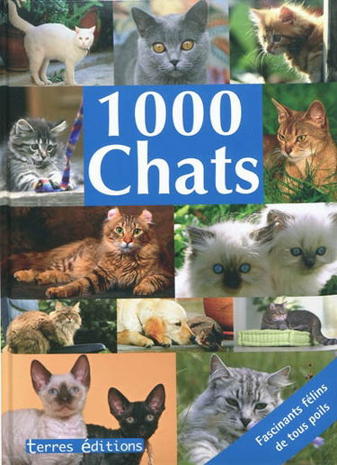 1.000 chats