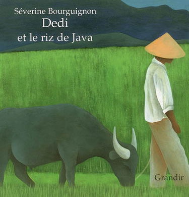 Dedi et le riz de Java en Indonésie