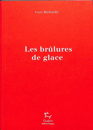 Couverture de Les brûlures de glace : un voyage pour apaiser le chaos intérieur