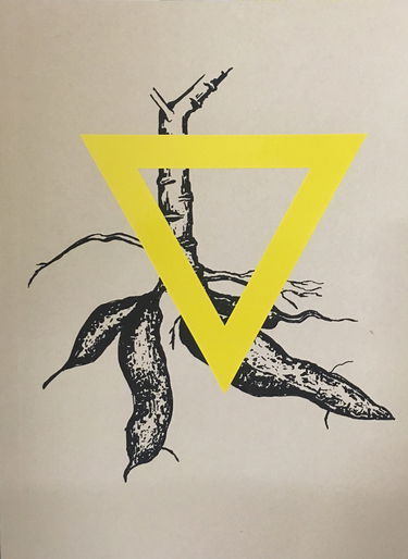 Incerteza viva : 32nd Bienal de São Paulo : 7 Sept-11 Dec 2016 : catalogue = Live uncertainty