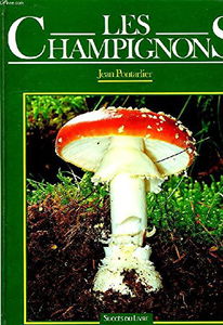 Les Champignons : guide pratique