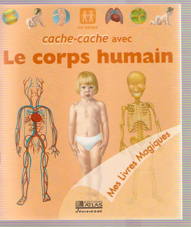 Cache-cache avec le corps humain (Mes livres magiques)