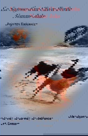 La Sagesse d'un Chien Perdu Nomme Jake: Une lecon sur la vie, la survie, la tolerance et L'amour