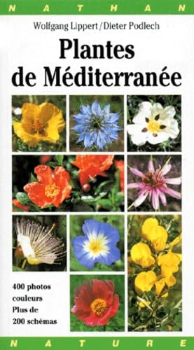 Plantes de méditerranée