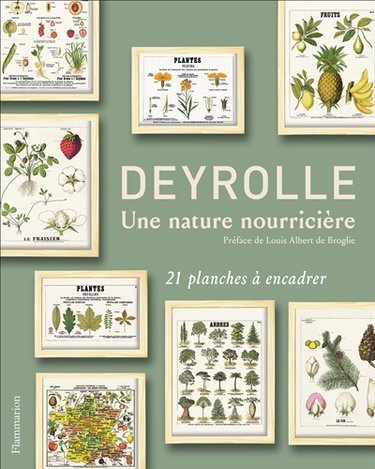 Couverture de Deyrolle : une nature nourricière : 21 planches à encadrer