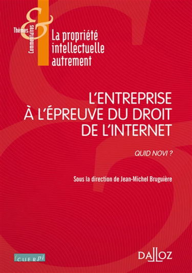 L'entreprise à l'épreuve du droit de l'Internet : quid novi ?