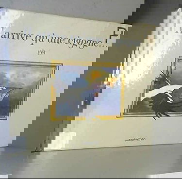 Il arrive qu'une cigogne