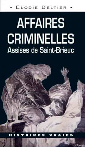 Affaires criminelles : assises de Saint-Brieuc