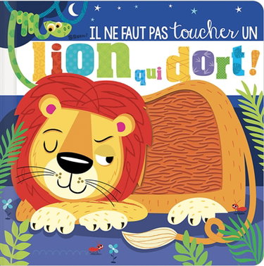 Couverture de Il ne faut pas toucher un lion qui dort !