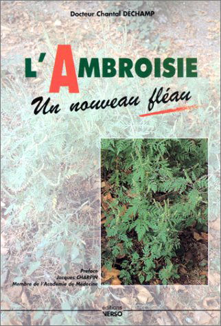 L'ambroisie : un nouveau fléau