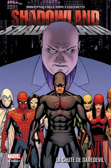 Shadowland. Vol. 1. La chute de Daredevil