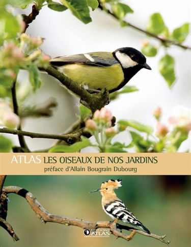 Les oiseaux de nos jardins