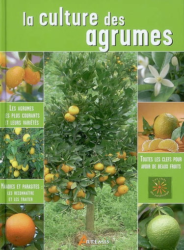 Couverture de La culture des agrumes par Jean-Marie Polese