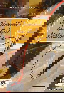 Le travail du style littéraire : du scénario au manuscrit achevé